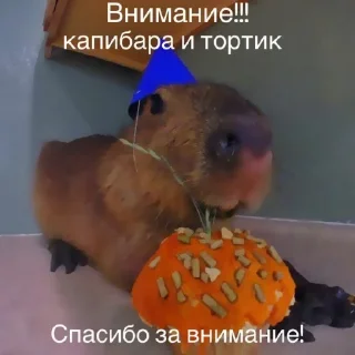 Стикер ‣ Capybara :🪨: @jichulan ♡‌ - 3