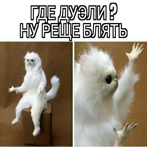 Sticker CarXPilot - 3