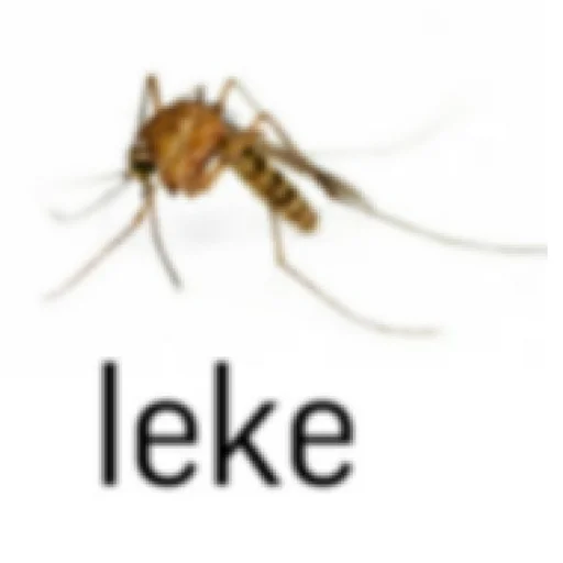 беспозвоночный вредитель членистоногое