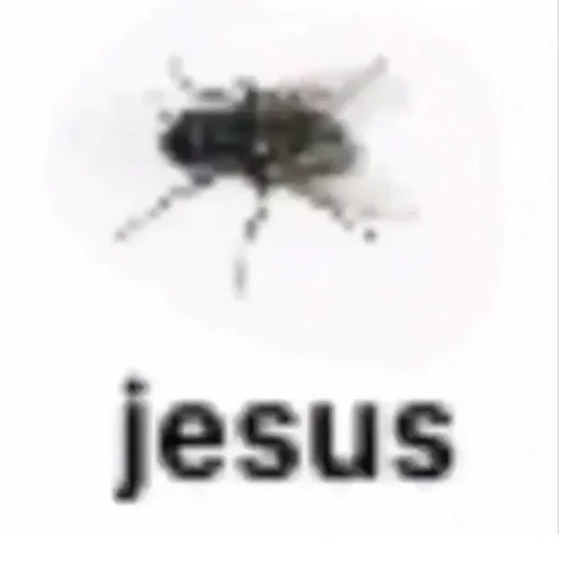 насекомое животное вредитель