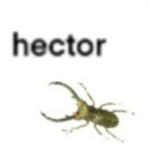 беспозвоночный насекомое вредитель