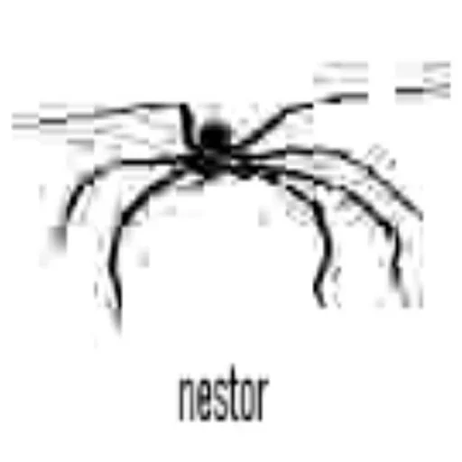 беспозвоночный животное членистоногое