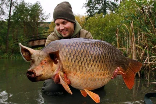 Sticker железный карп - 3