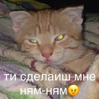 Sticker аки как смысл жизни 🐾 @morialich - 9