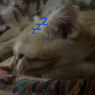 Sticker аки как смысл жизни 🐾 @morialich - 0