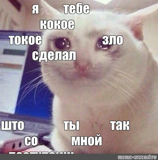 СМС млекопитающее животное