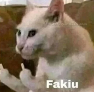 Стикер cat_ip - 5