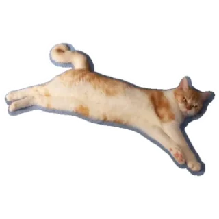 Стикер Котик - 5