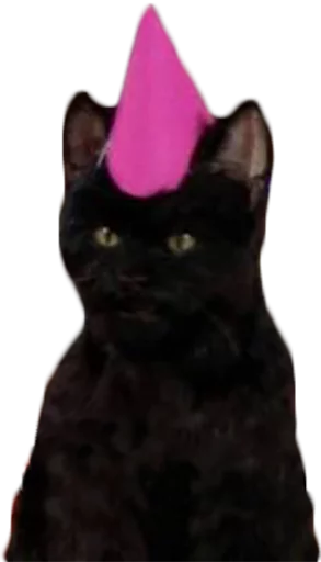 Стикер cat_salem - 10