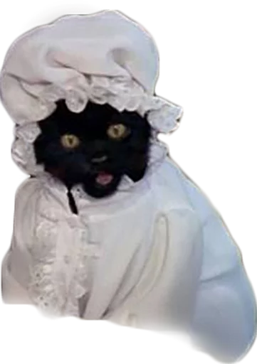 Стикер cat_salem - 7