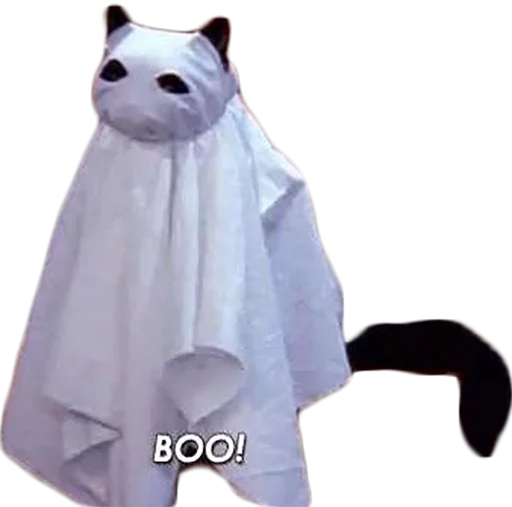 Стикер cat_salem - 3