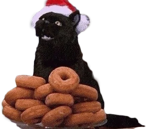 Стикер cat_salem - 2