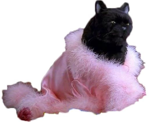 Стикер cat_salem - 1