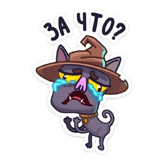 Sticker Кот Сима :: @stickroom - 1