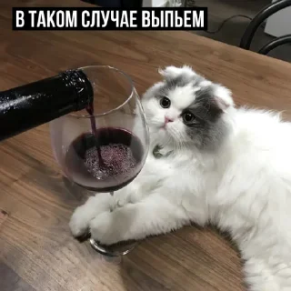 Sticker Набор стикеров от @Ctikerubot - 1