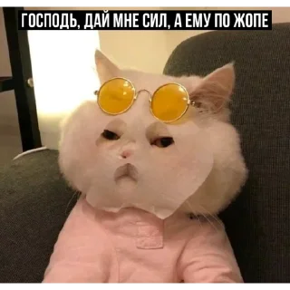 Sticker Набор стикеров от @Ctikerubot - 6