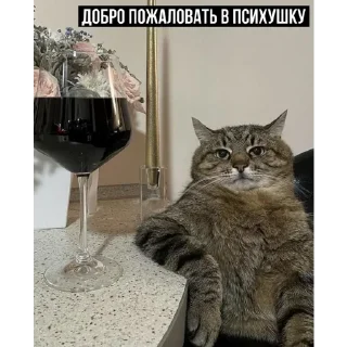 Sticker Набор стикеров от @Ctikerubot - 3