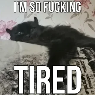 Sticker Набор стикеров от @Ctikerubot - 9