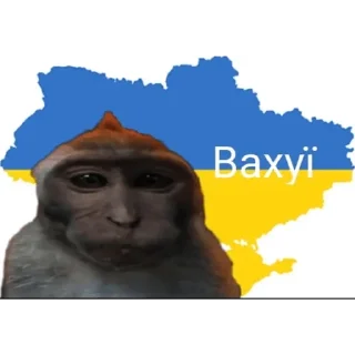 Sticker Набор стикеров от @Ctikerubot - 2