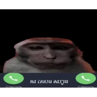 Sticker Набор стикеров от @Ctikerubot - 3