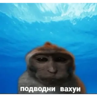 Sticker Набор стикеров от @Ctikerubot - 5