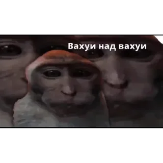 Sticker Набор стикеров от @Ctikerubot - 4