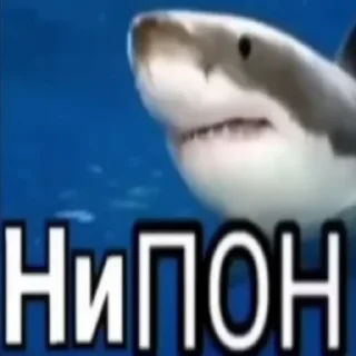 Sticker Набор стикеров от @Ctikerubot - 0