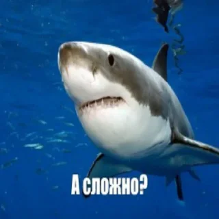 Sticker Набор стикеров от @Ctikerubot - 8