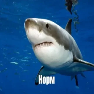 Sticker Набор стикеров от @Ctikerubot - 3