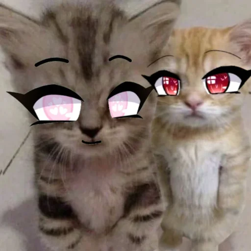 Sticker Набор стикеров от @Ctikerubot - 8