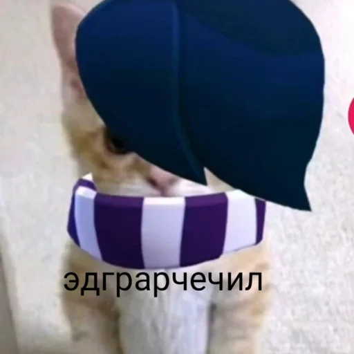 Sticker Набор стикеров от @Ctikerubot - 7