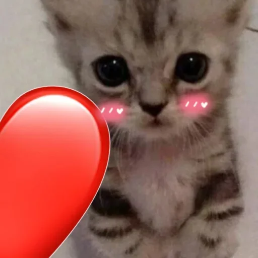 Sticker Набор стикеров от @Ctikerubot - 2