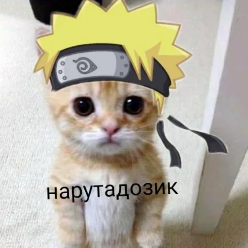 Sticker Набор стикеров от @Ctikerubot - 1