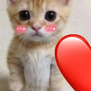 Sticker Набор стикеров от @Ctikerubot - 5