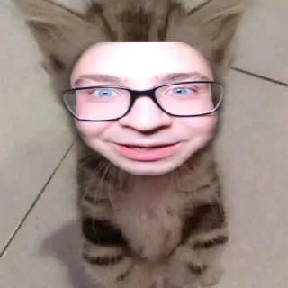 Sticker Набор стикеров от @Ctikerubot - 4