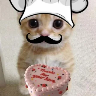 Sticker Набор стикеров от @Ctikerubot - 0