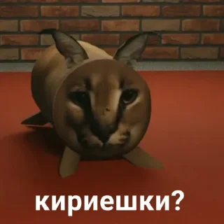 Sticker Набор стикеров от @Ctikerubot - 3