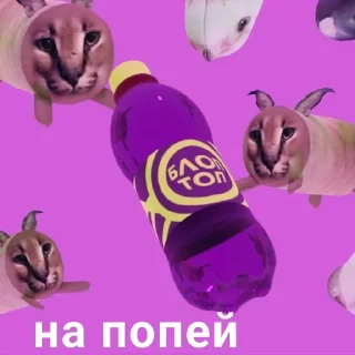 Sticker Набор стикеров от @Ctikerubot - 5