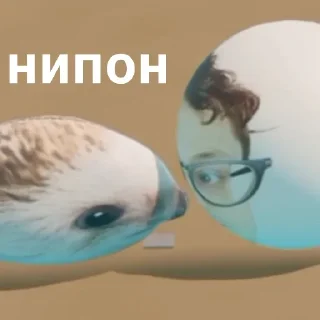 Sticker Набор стикеров от @Ctikerubot - 8