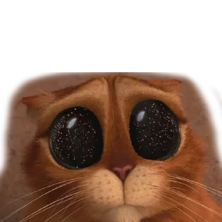 Sticker Набор стикеров от @Ctikerubot - 5