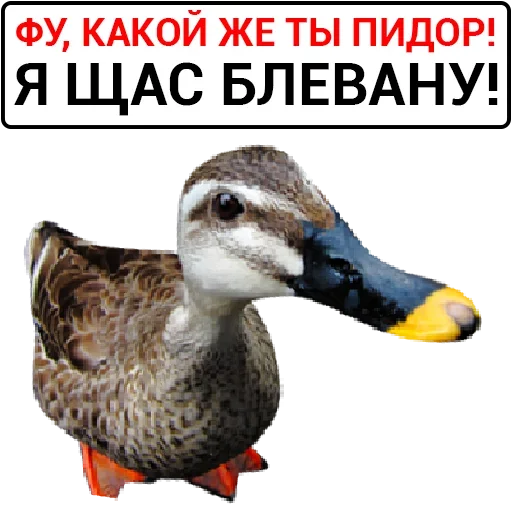 Sticker catalog_1677430116_by_Ctikerubot - 1