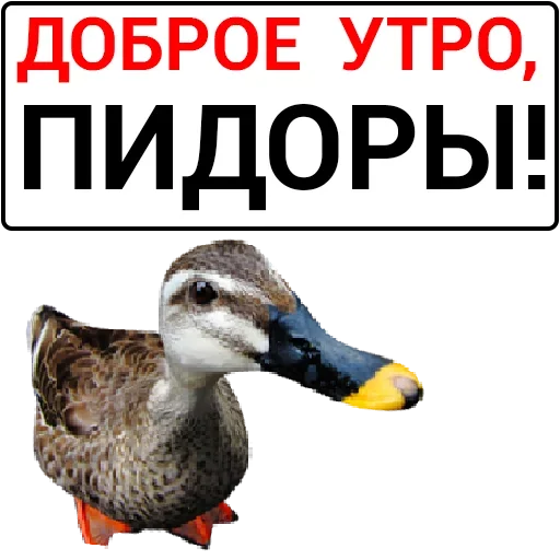 Sticker catalog_1677430116_by_Ctikerubot - 1