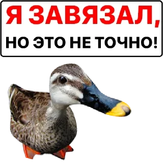 Sticker Набор стикеров от @Ctikerubot - 6