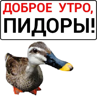 Sticker Набор стикеров от @Ctikerubot - 0