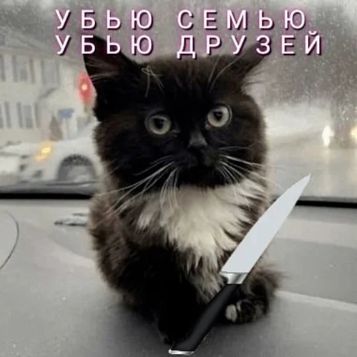 Sticker catalog_1681821058_by_Ctikerubot - 1