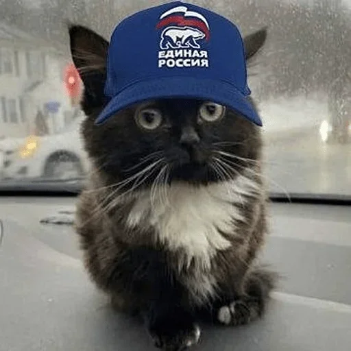 Стикер catalog_1681821058_by_Ctikerubot - 1