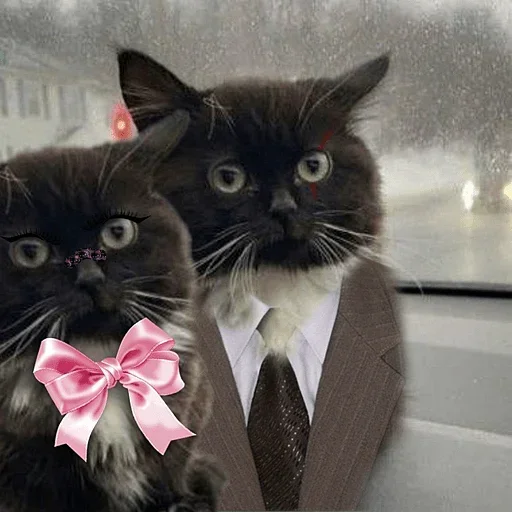 Sticker catalog_1681821058_by_Ctikerubot - 1