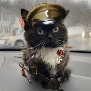 Sticker Набор стикеров от @Ctikerubot - 7