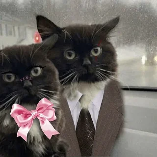 Sticker Набор стикеров от @Ctikerubot - 0