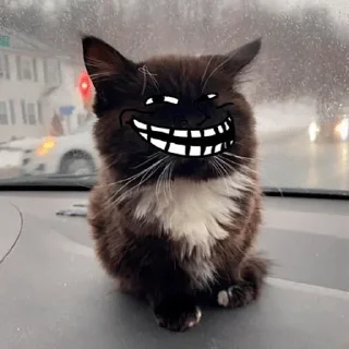 Sticker Набор стикеров от @Ctikerubot - 1